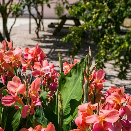 Appartamento Moulinos Kefalonia *