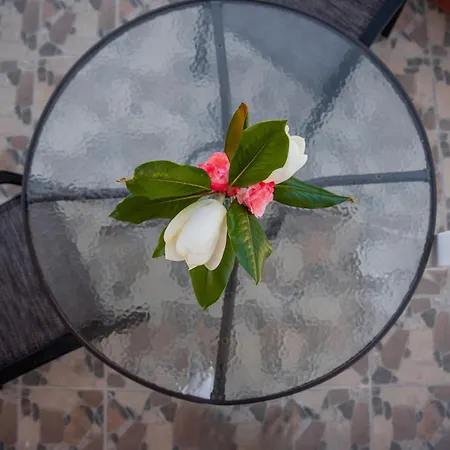 Moulinos Kefalonia Kardhakáta