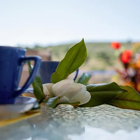 Moulinos Kefalonia *