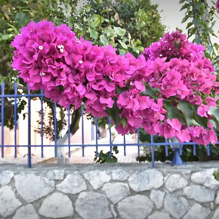 Moulinos Kefalonia Apartman