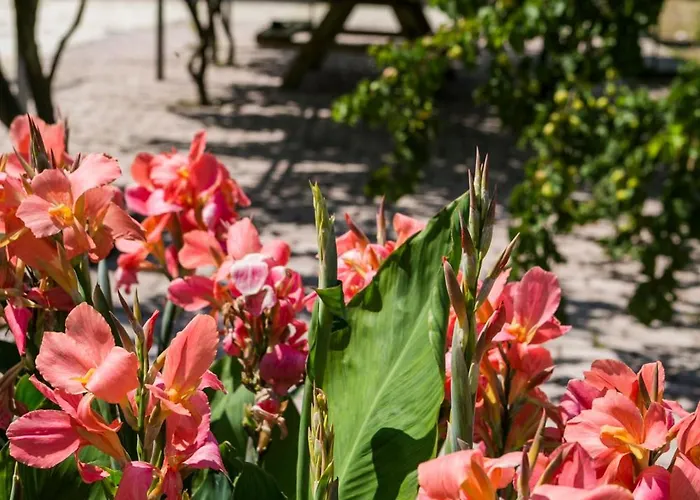 Apartman Moulinos Kefalonia *