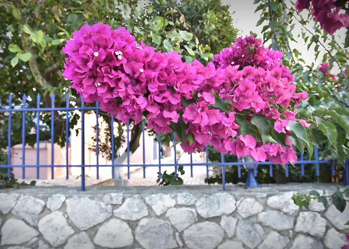 Moulinos Kefalonia Apartman